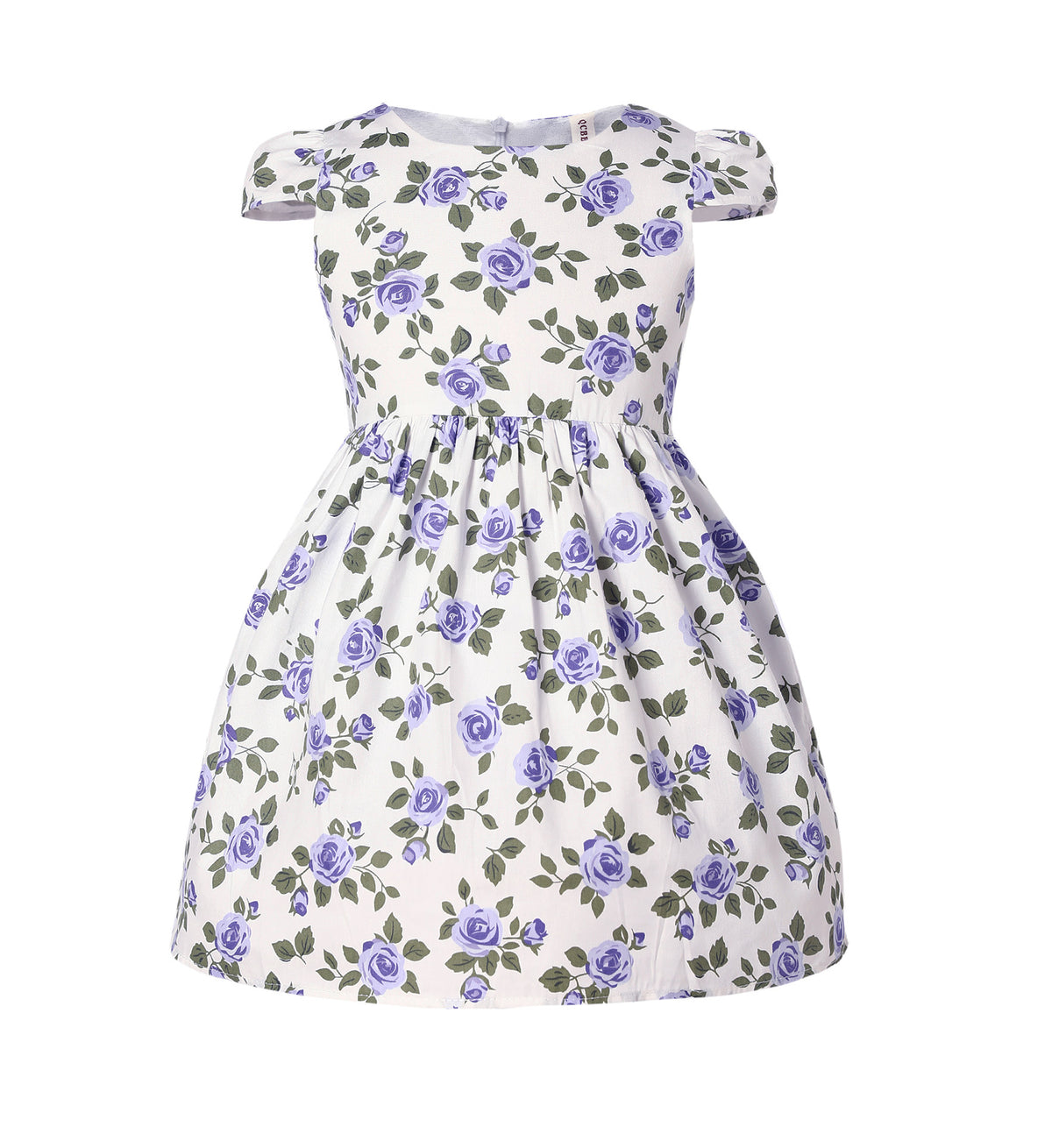 Girls Pink & Blue Rose Print Dress