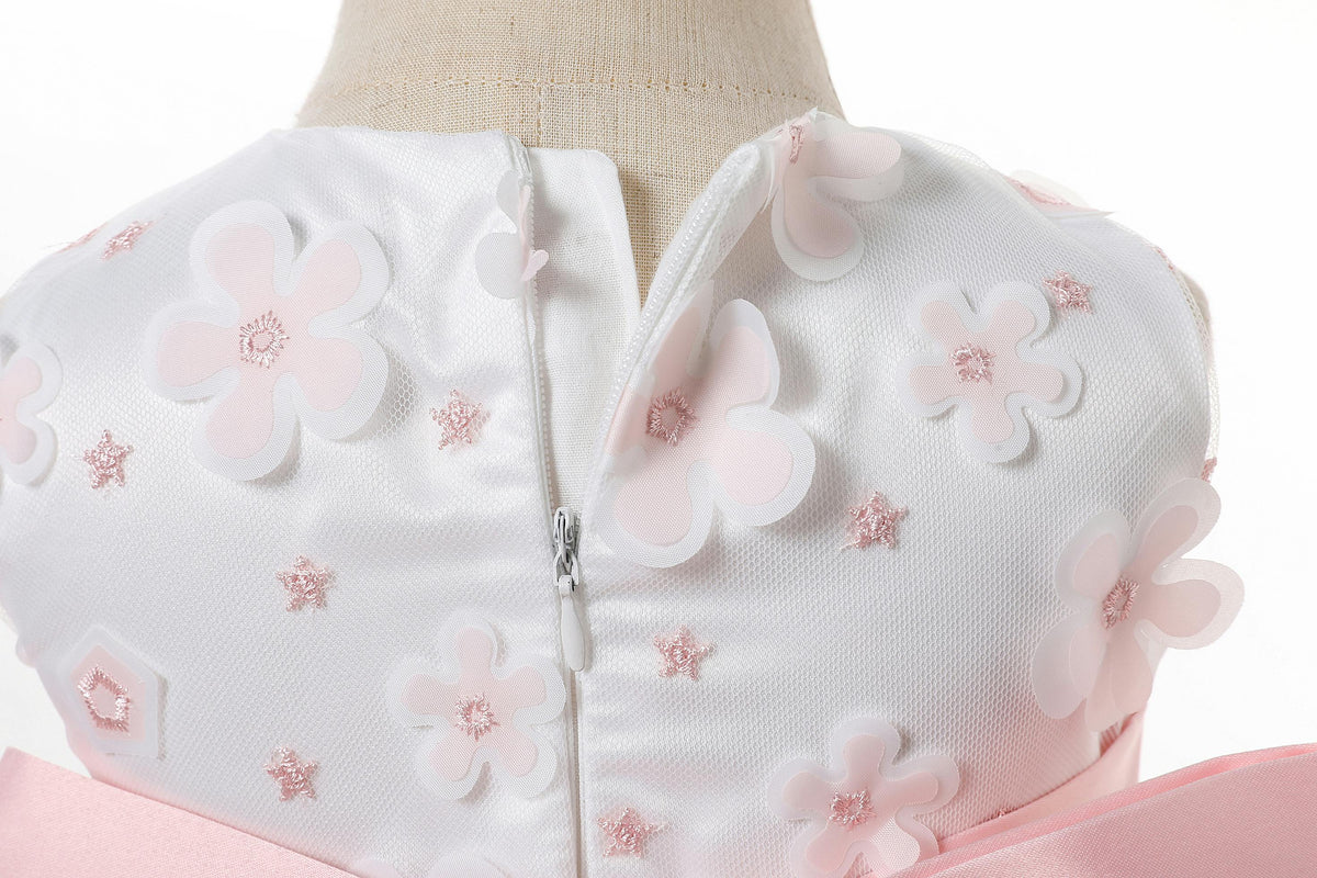 Embroidered Floral Party Dress